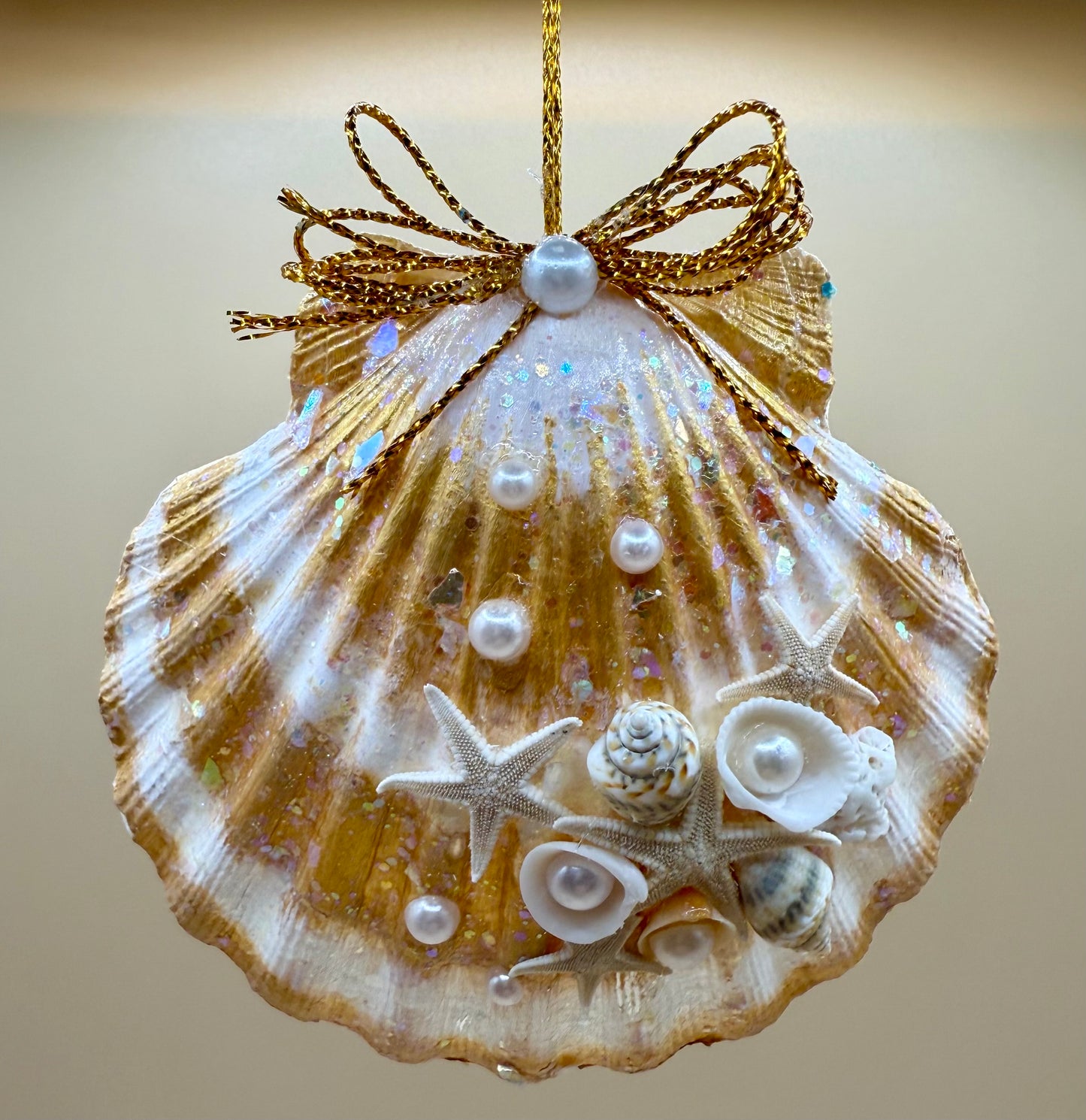 Scallop Shell
