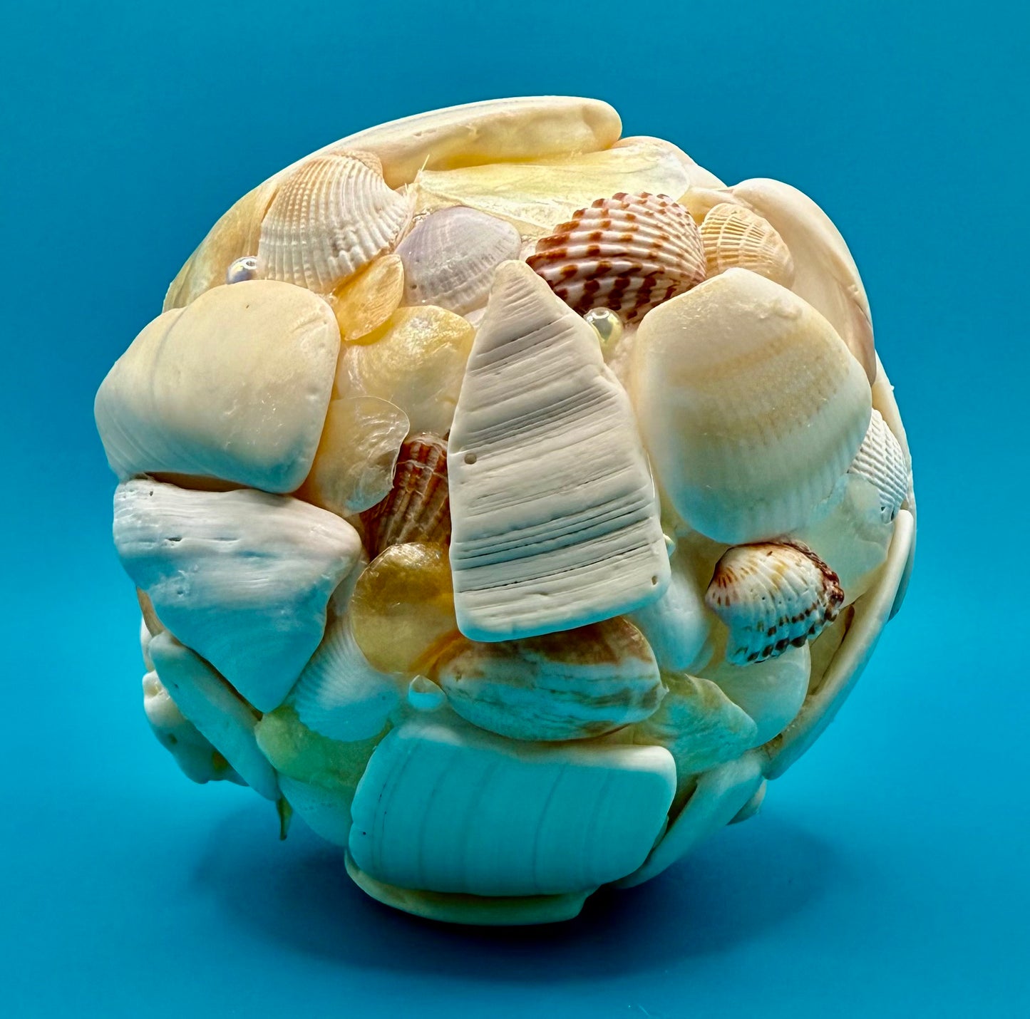 Shell Ball (5")