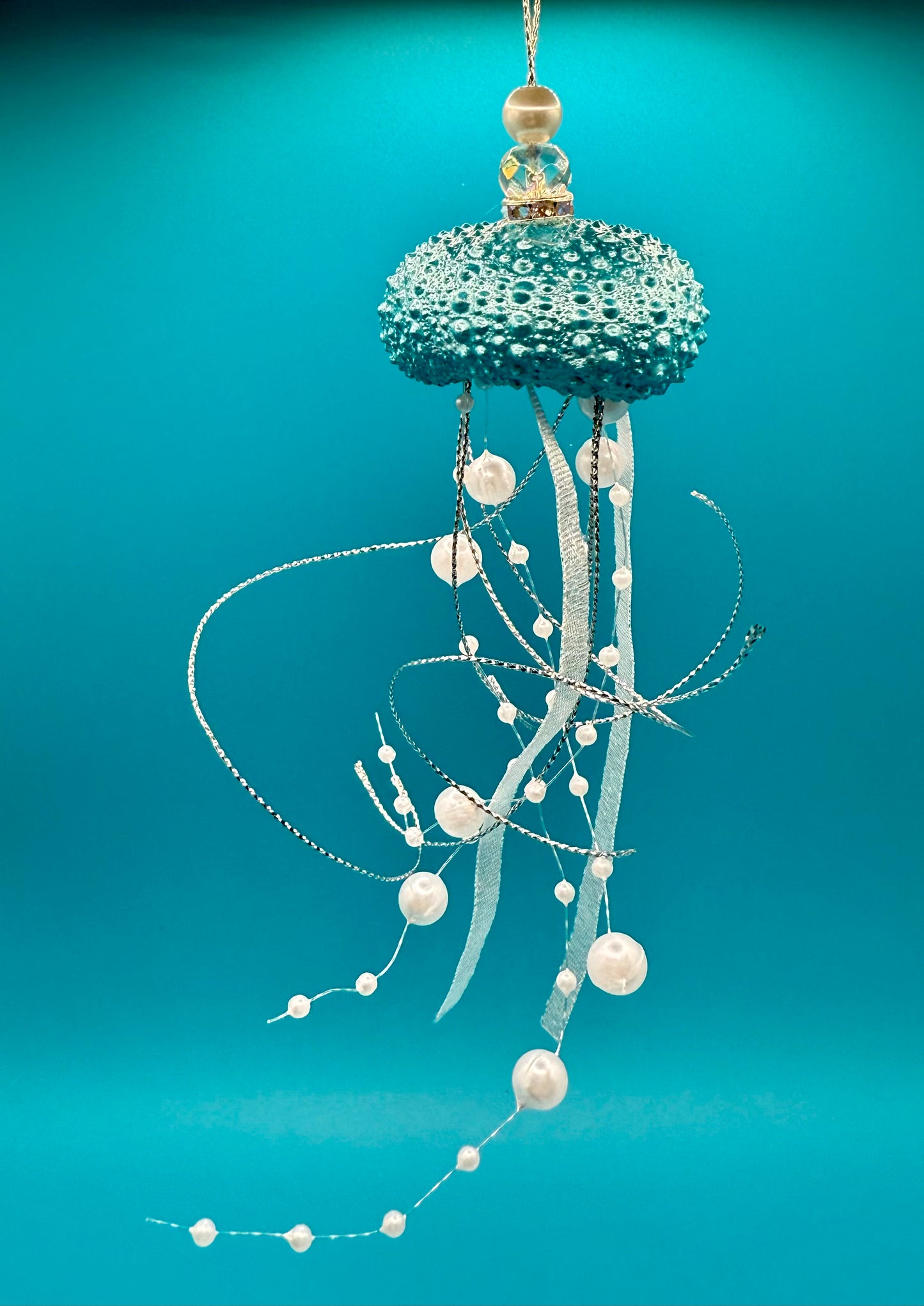 Blue Sea Urchin Jellyfish