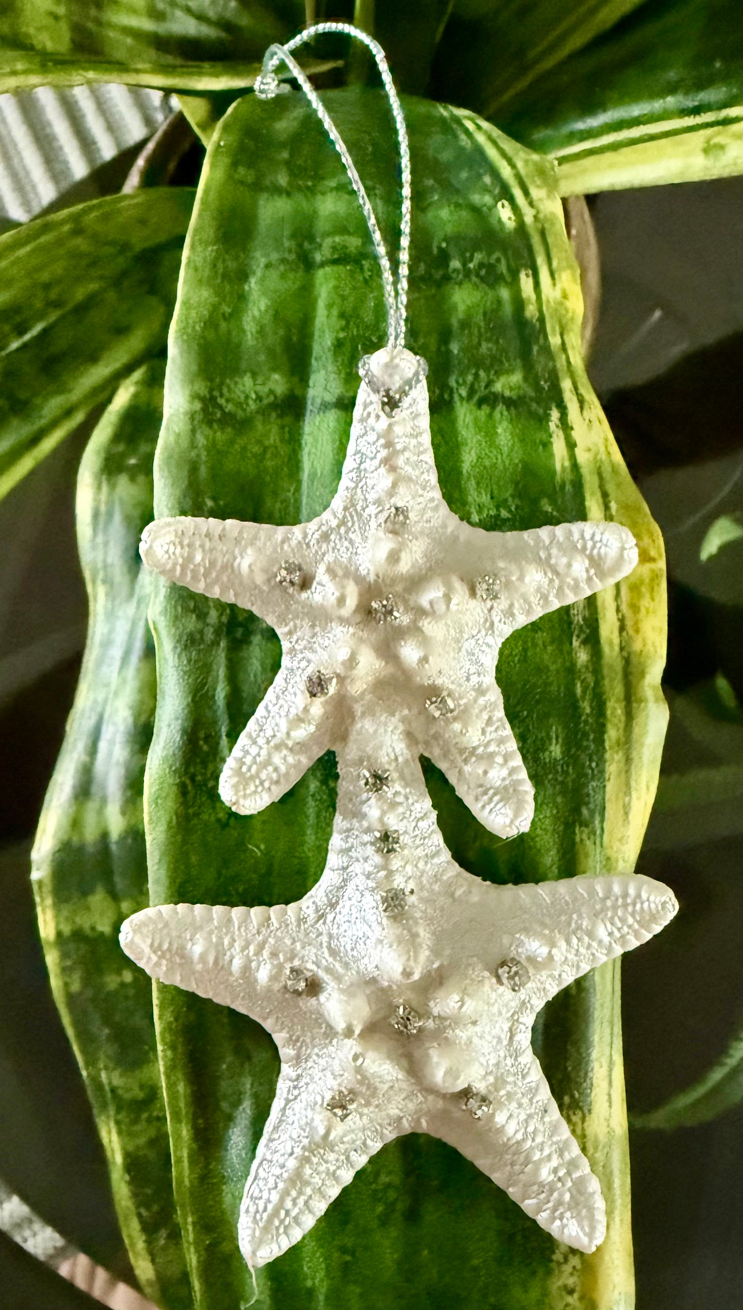 2 Starfish Ornament