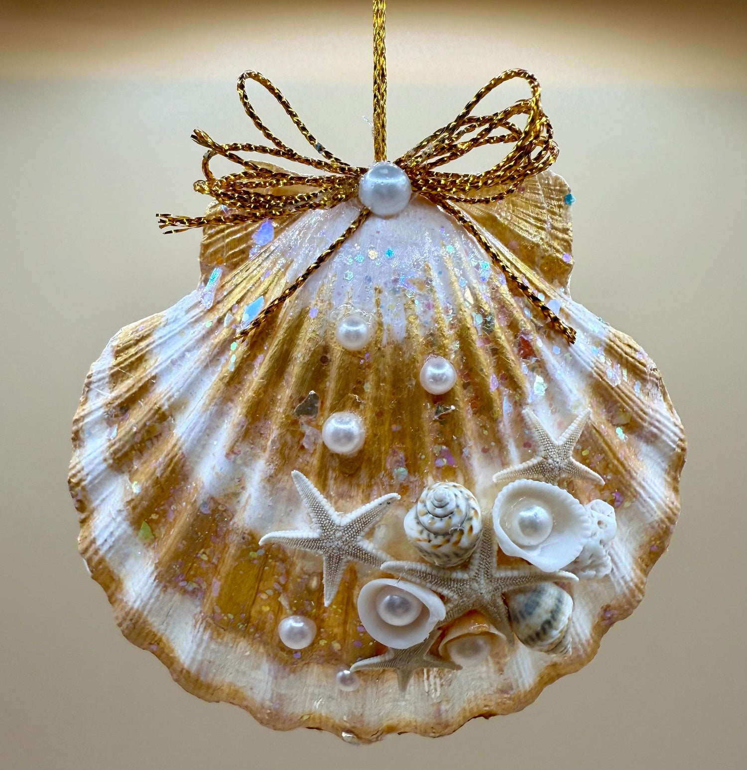 Stunning Shells