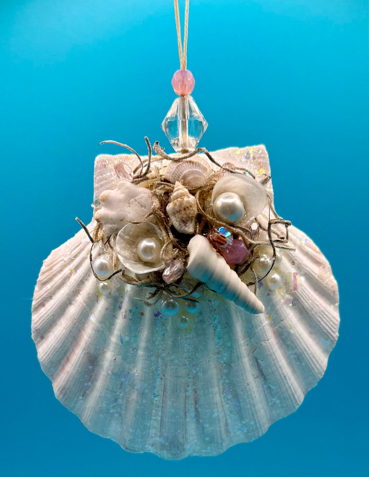 Scallop Shell