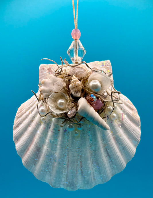 Scallop Shell