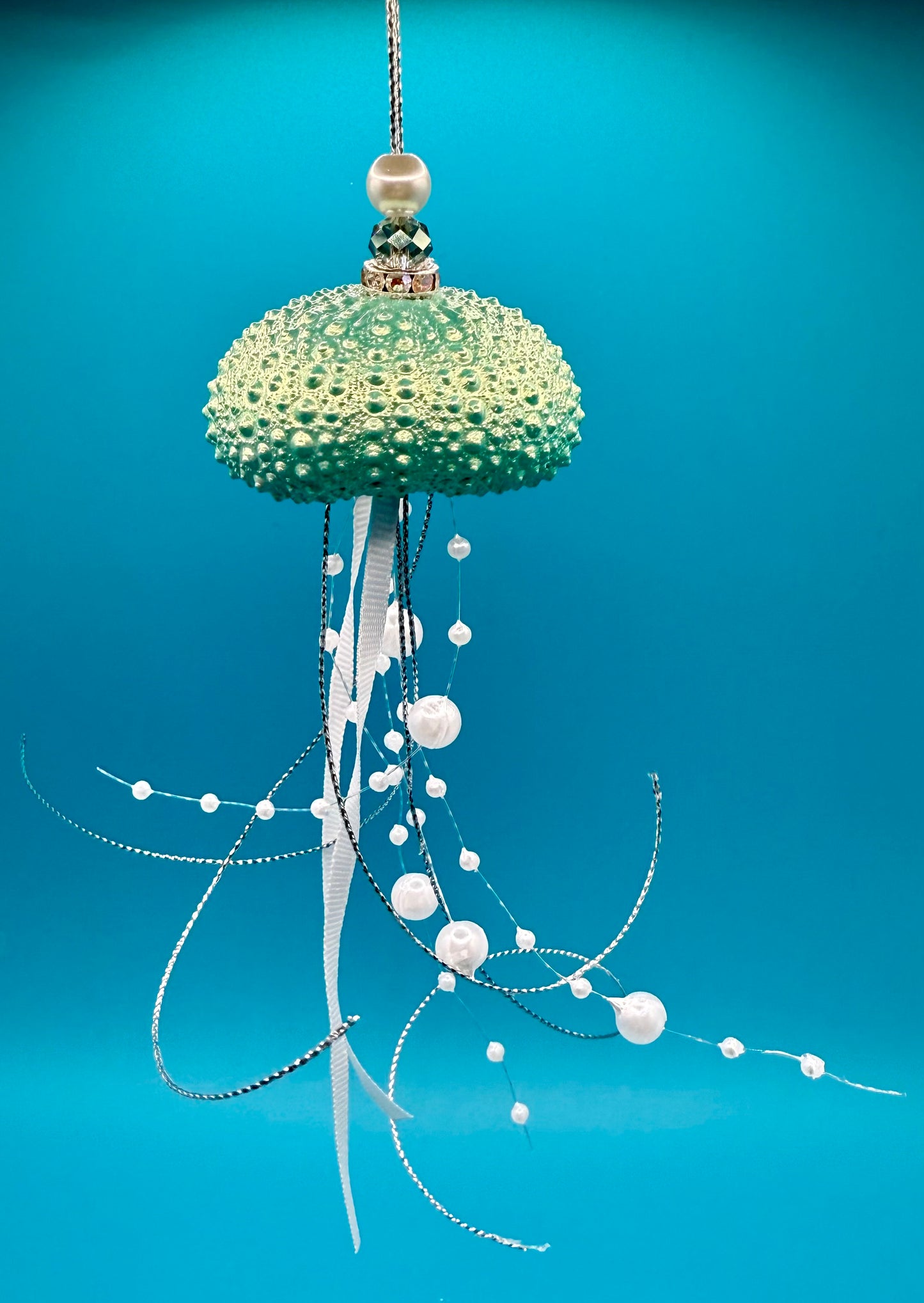 Green Sea Urchin Jellyfish