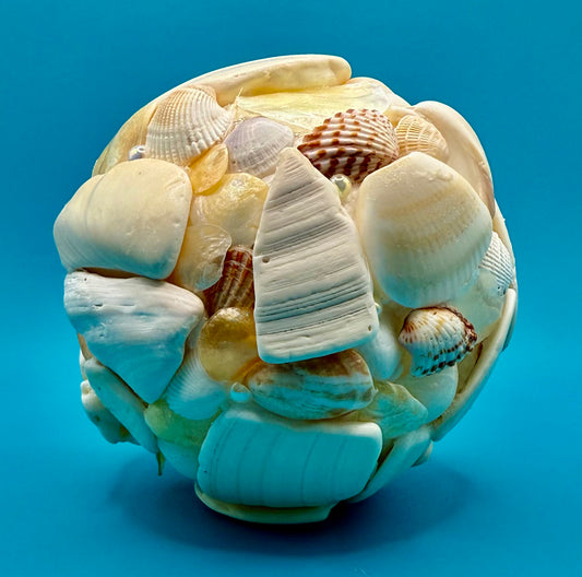 Shell Ball (5")
