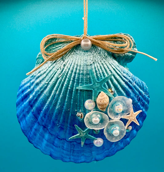 Scallop Shell