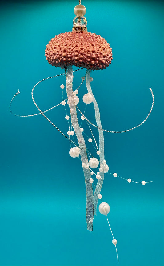 Pink Sea Urchin Jellyfish