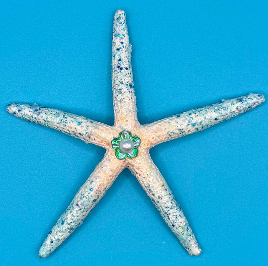 Star Fish Magnet
