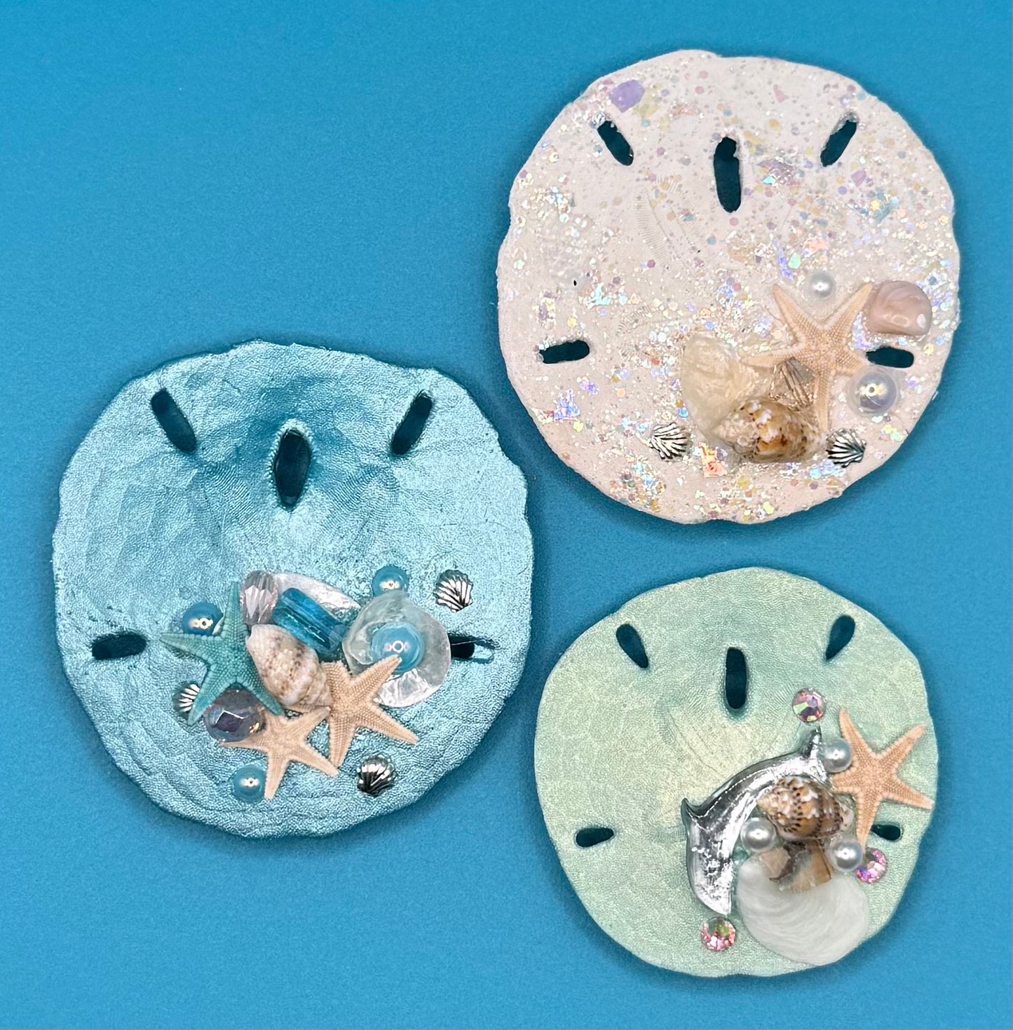 Sand Dollar Magnets - Set of 3