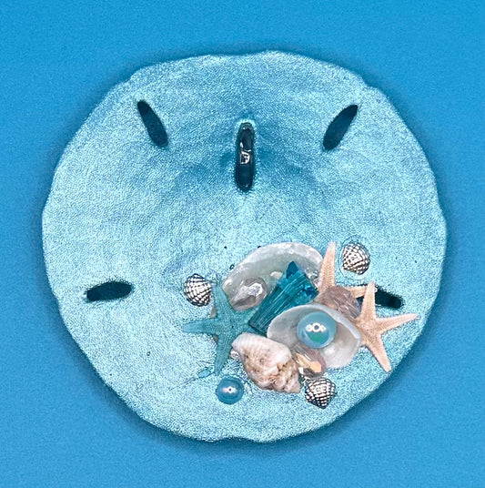 Sand Dollar Magnet  - Blue