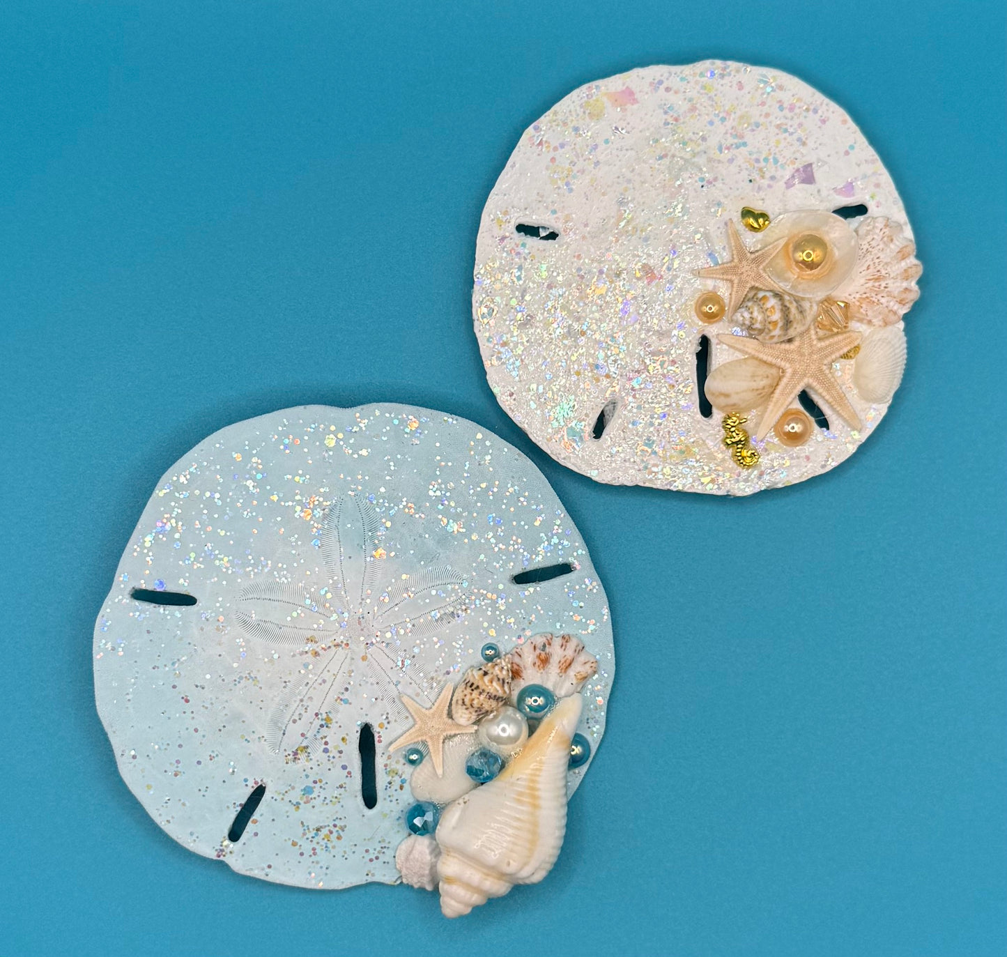Sand Dollar Magnets - Set of 2