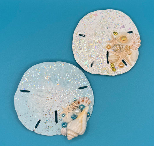Sand Dollar Magnets - Set of 2