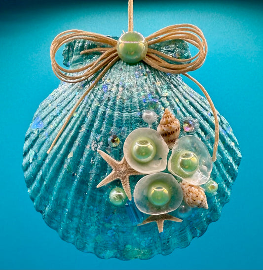 Scallop Shell