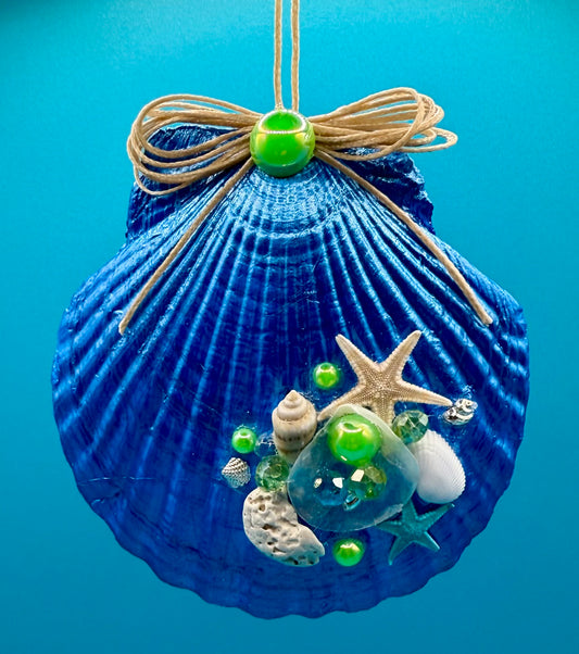 Scallop Shell