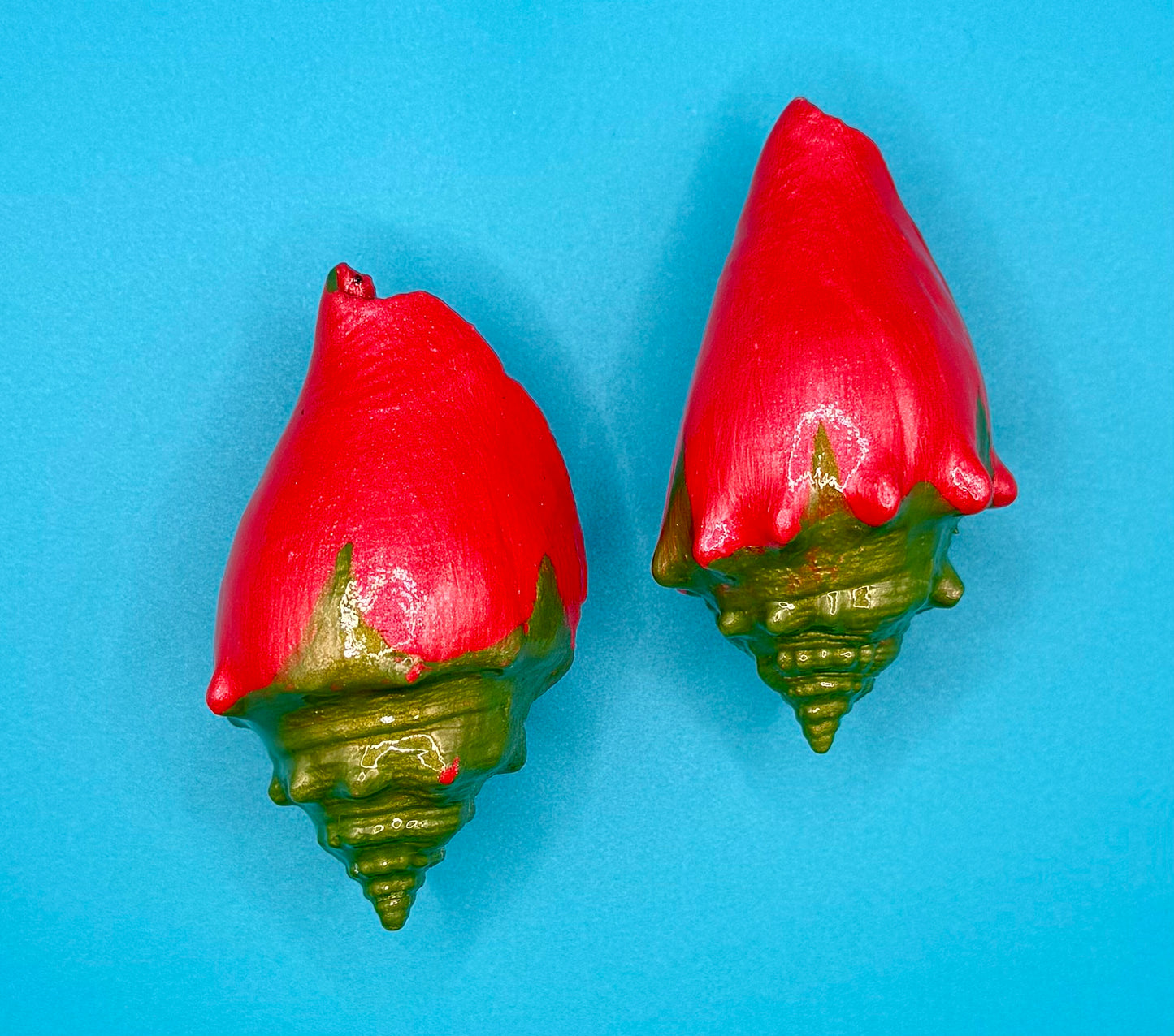 "Rosebud" Shell Magnets - Set of 2