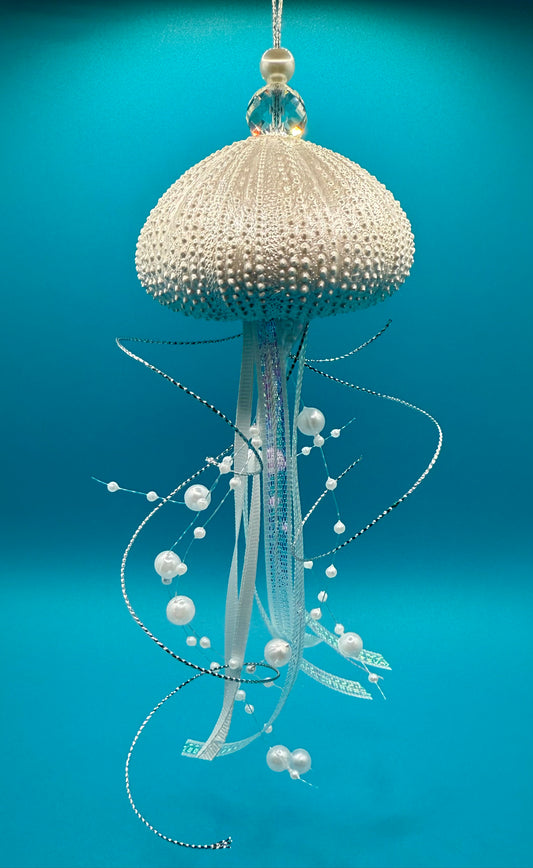 Pearl Sea Urchin Jellyfish