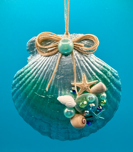 Scallop Shell