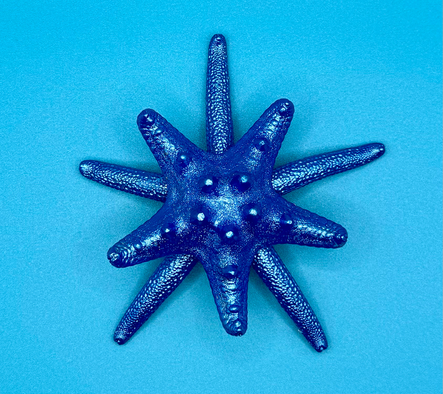 Star Fish Magnet
