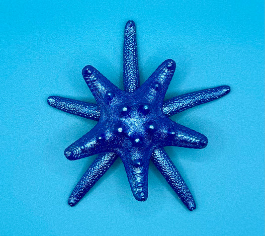 Star Fish Magnet