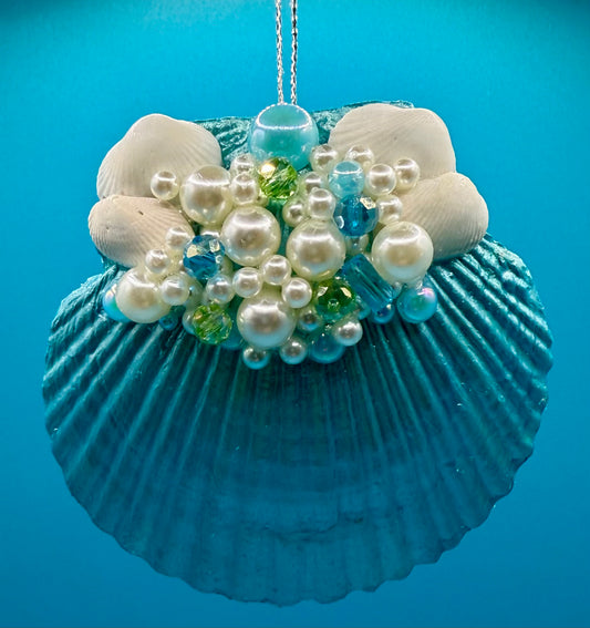 Scallop Shell