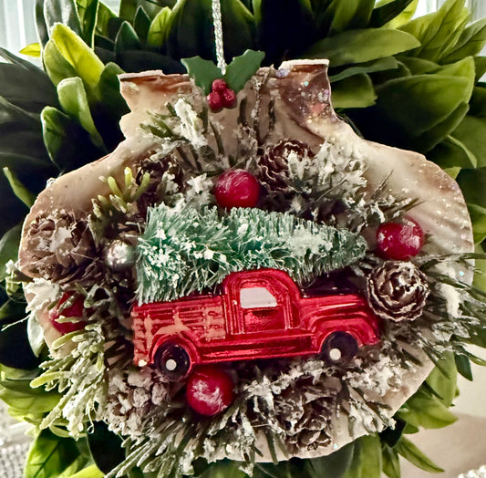 Christmas Shell Scenes