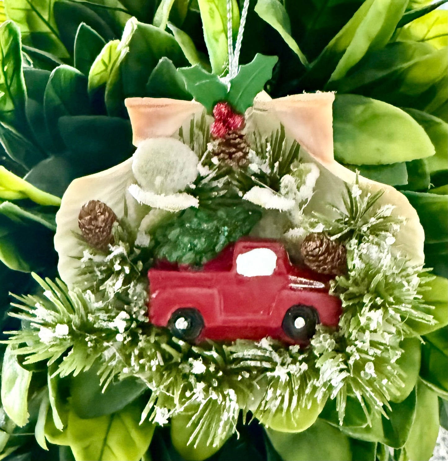 Christmas Shell Scenes