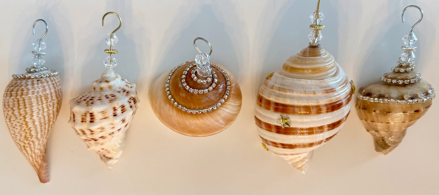 Set of 5 Natural Shell Ornaments