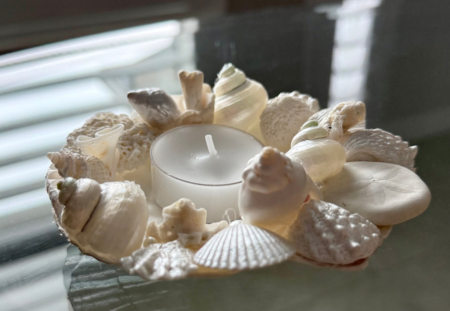 Shell Candle Holder