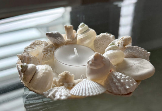Shell Candle Holder