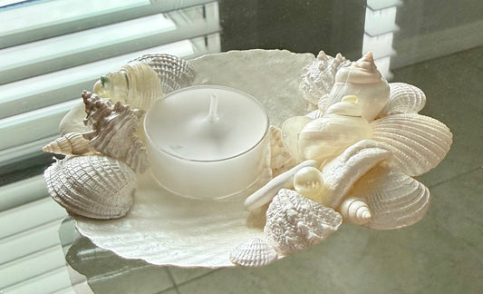 Shell Candle Holder