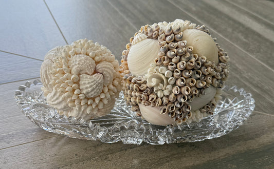 Shell Ball Set