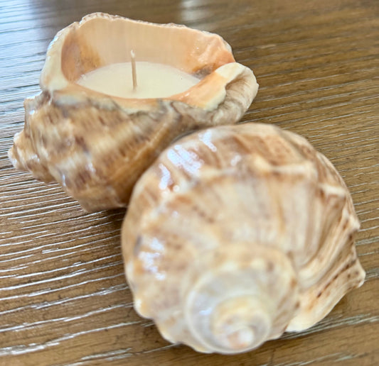 Unique Double Shell Candle